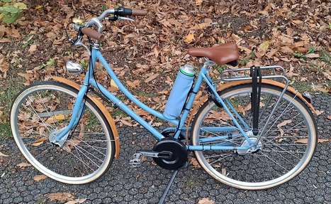 yuuma hond huisregels apart B&B beApart