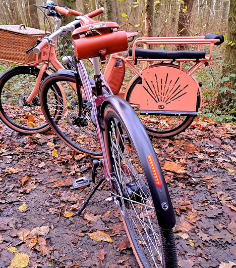 hond yuuma B&B beApart ieper hygiëne